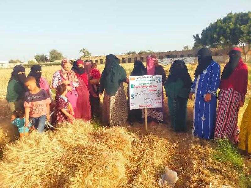 ”الزراعة” تواصل تنفيذ المدارس الحقلية ضمن مشروع ”سيل” لدعم المستفيدين| صور
