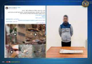 ضبط راعي أغنام اعتدى على كلاب ضالة بعصا مسامير في البحيرة