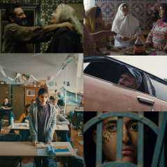 اليوبيل الفضي لمهرجان روتردام للفيلم العربي: 69 فيلمًا تحتفي بثراء السينما العربية في الداخل والمهجر