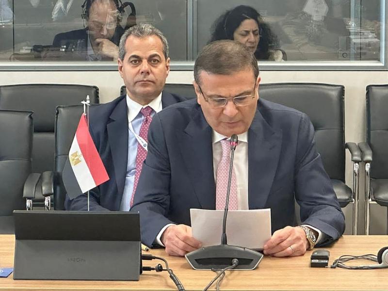 وزير الزراعة: مصر اتخذت إجراءات وقائية ضد الآفات الخطيرة.. وكانت مثالا يحتذى في التصدي لدودة الحشد