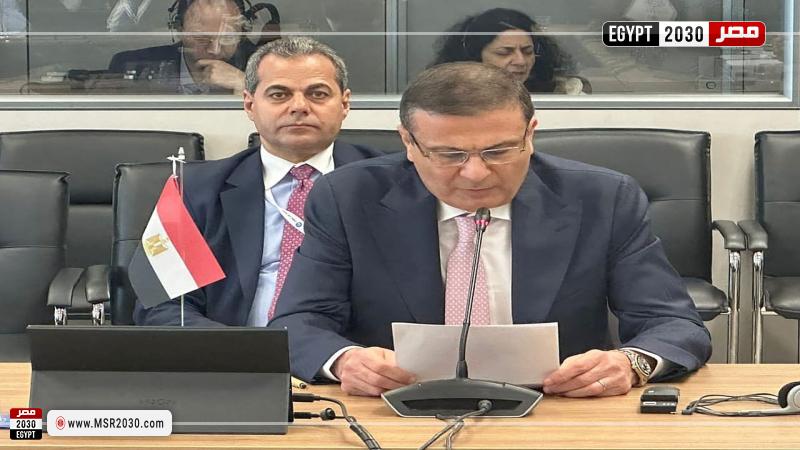 علاء فاروق وزير الزراعة واستصلاح الأراضي خلال كلمته في الاجتماع رفيع المستوى
