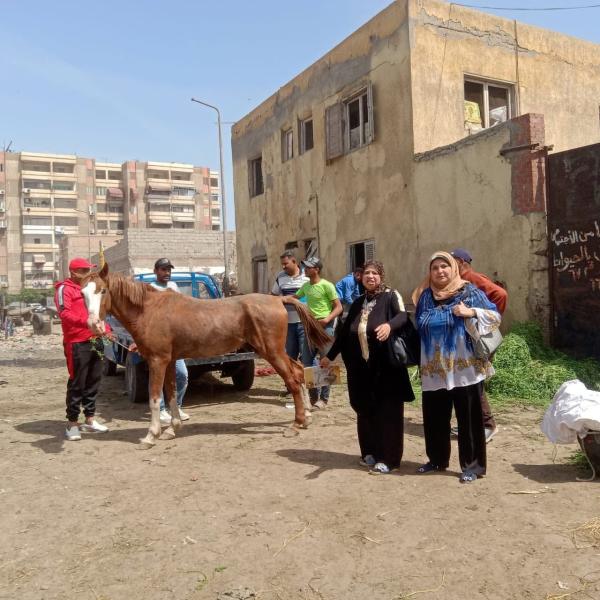 حي المناخ ببورسعيد 