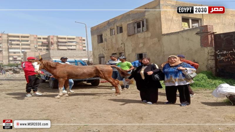 حي المناخ ببورسعيد
