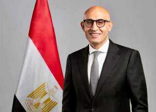 الجريدة الرسمية تنشر قرار إلزام المدارس الأجنبية والدولية بتدريس العربي والدين (تفاصيل)