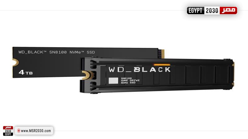 Sandisk