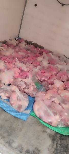 تموين بورسعيد يضبط طن لحوم ودواجن مجهولة المصدر بمنافذ المحافظة