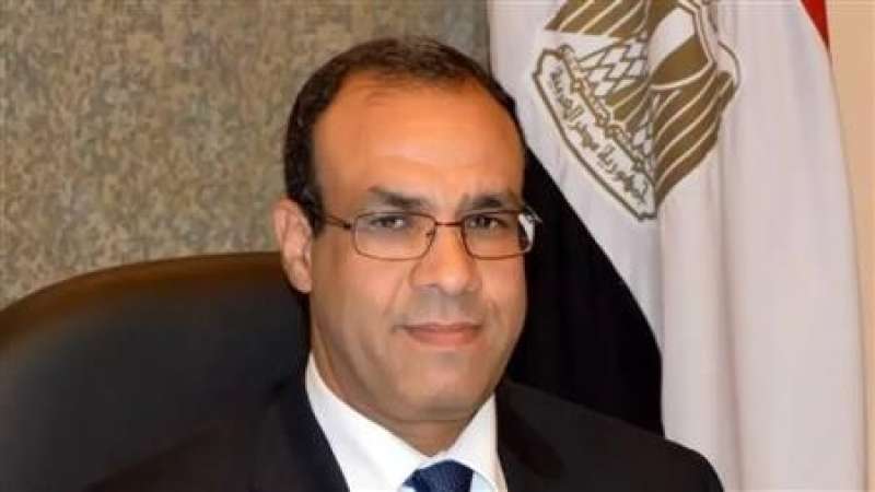 وزير الخارجية المصري 