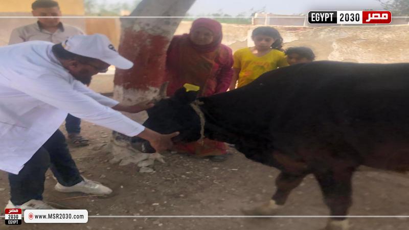 محافظة كفرالشيخ