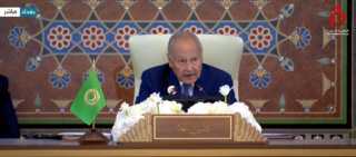 أبو الغيط: الإقليم العربي كان ولا يزال عرضة لتدخلات غير حميدة لشؤون دوله