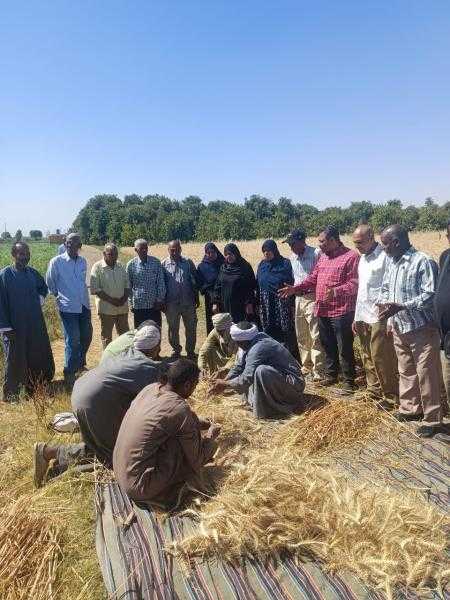 تحسين الأراضي ينفذ يوم حصاد لمحصول القمح بمركز ادفو في أسوان كنموذج لترشيد استخدام مياه الري