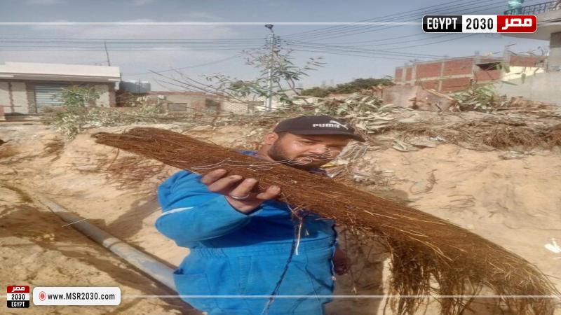 شبكات مياه القناة