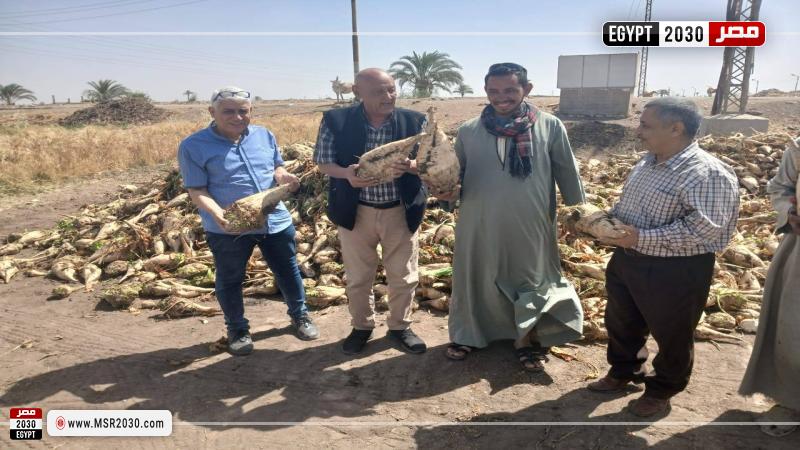 وكيل وزارة الزراعة بأسيوط