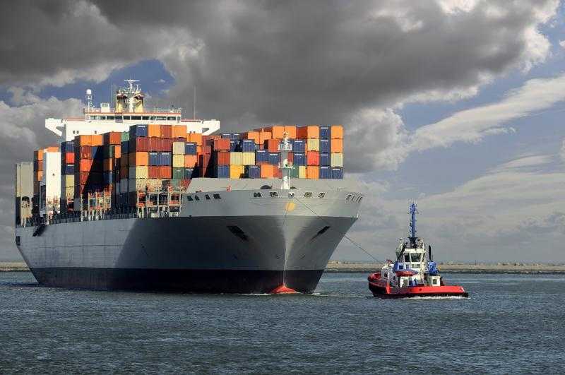 مصر تصدر 185 ألف طن سلع غذائية وزراعية خلال أسبوع