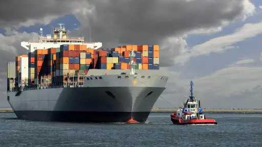 «سلامة الغذاء»: 5 آلاف رسالة غذائية مصدّرة خلال أسبوع.. والموالح والبطاطا الحلوة في الصدارة