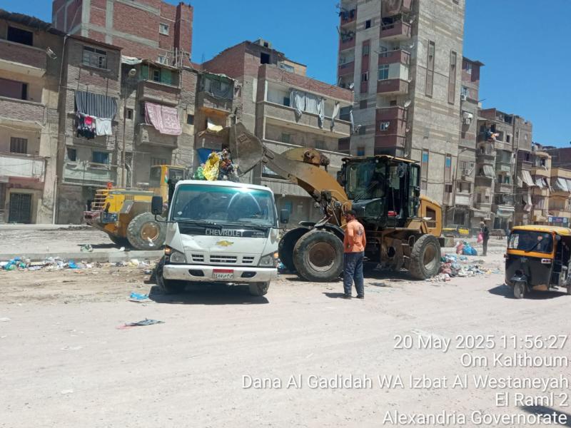 محافظة الإسكندرية 
