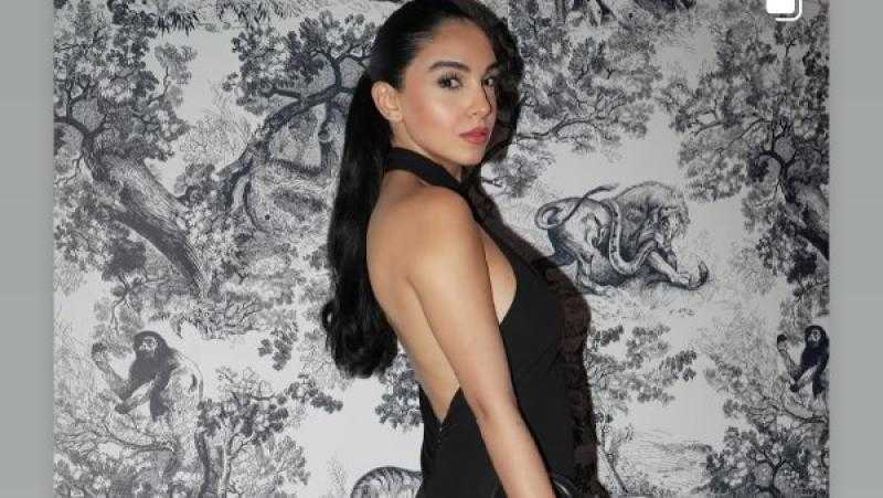 بفستان أسود.. سلمى أبو ضيف تتألق بإطلالة جذابة