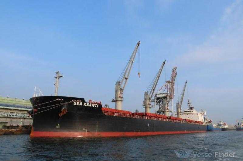 تداول 64 الف طن و1181 شاحنة بضائع عامة ومتنوعة بموانئ البحر الأحمر