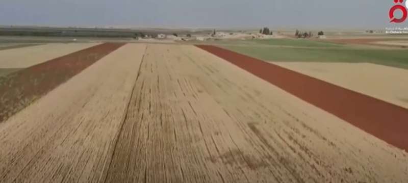 صورة من مقطع الفيديو