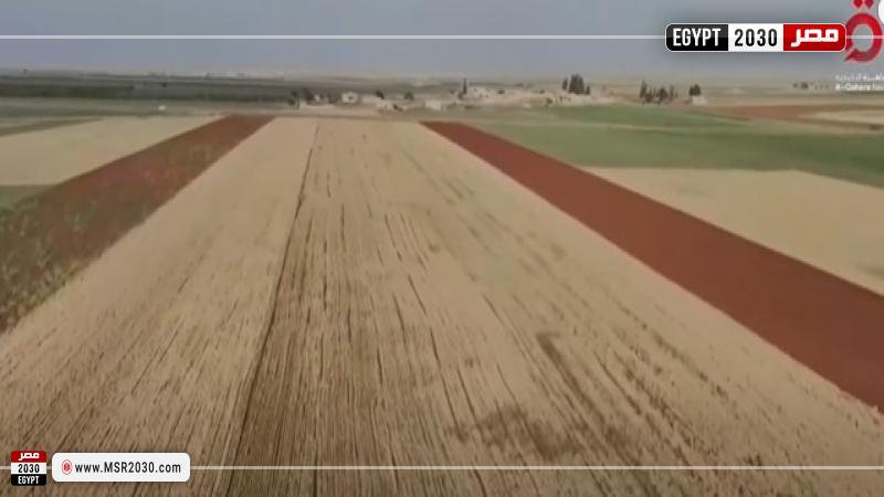 صورة من مقطع الفيديو
