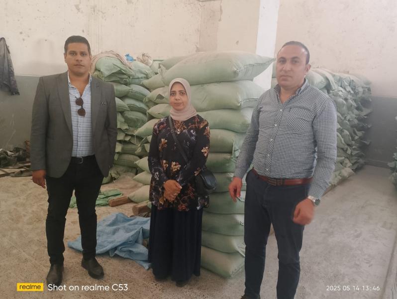 تموين الإسكندرية 