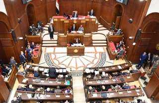 الثلث في الشيوخ و5% بالنواب.. شروط التعيين بالبرلمان