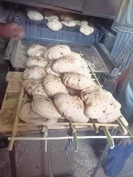 محافظ أسيوط: ضبط 6 أطنان قمح مسوس وتحرير 571 محضرًا خلال حملات تموينية مكثفة