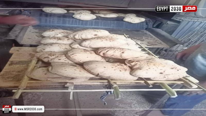 تموين أسيوط