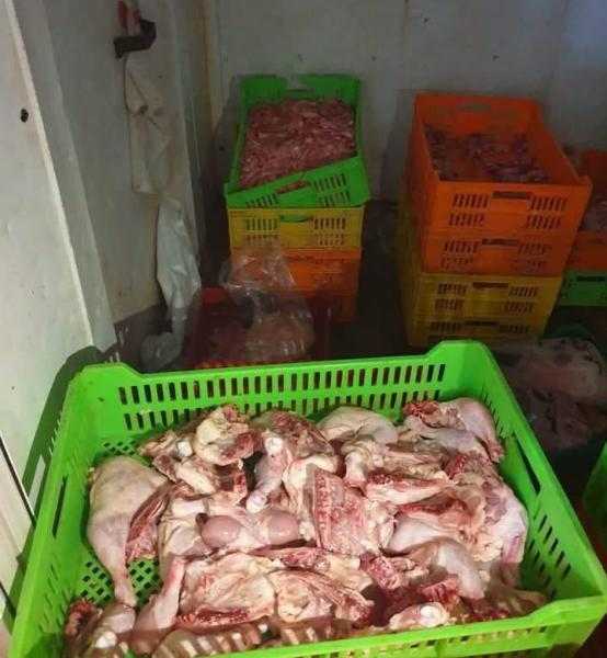 بيطرى الشرقية يضبط ٢ طن و٧٠ كجم لحوم و دواجن وكبده مجمدة و مصنعات لحوم مخالفة