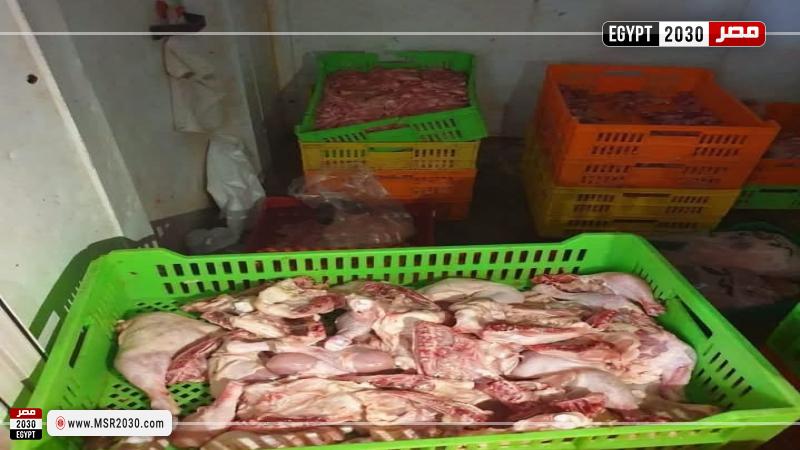 بيطري الشرقية