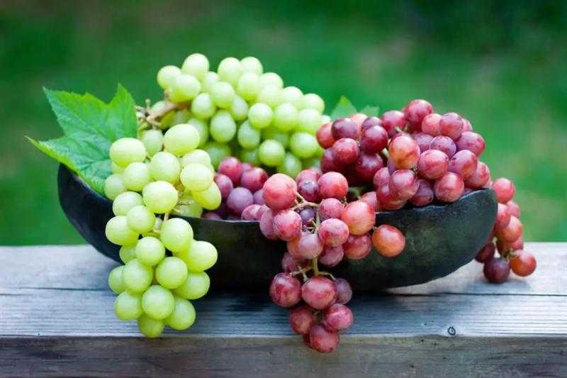 تعرف على الفروق بين العنب الأحمر والأخضر