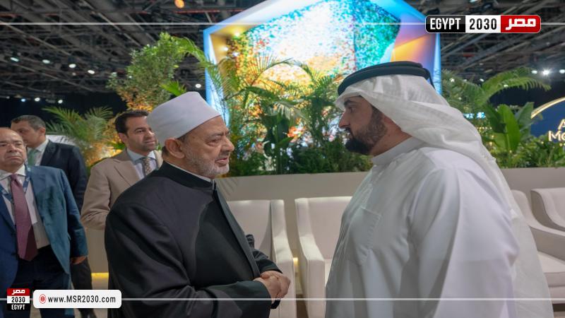شيخ الأزهر 