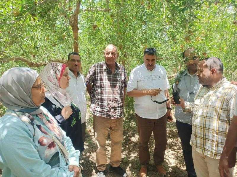 محافظ أسيوط: لقاءات دورية مع مزارعي الرمان لبحث التحديات ودعم الصناعة الزراعية