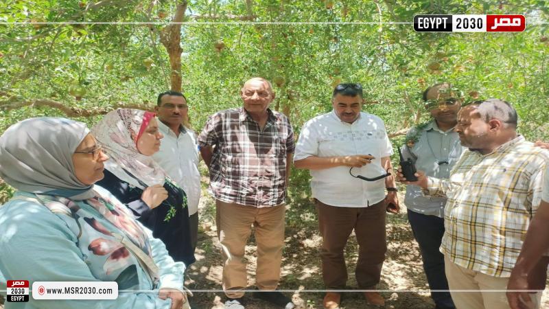 محافظة أسيوط