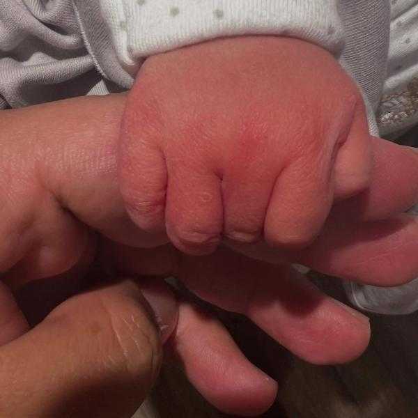 حسن الرداد يعلن عن ولادة ابنته الثانية ”فادية”
