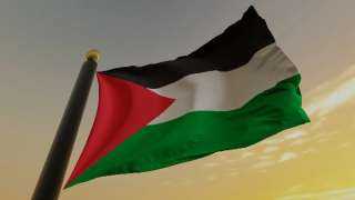 إسبانيا وأيرلندا وسلوفينيا والنرويج تصدر بيانًا مشتركًا لقبول فلسطين عضوا بالأمم المتحدة