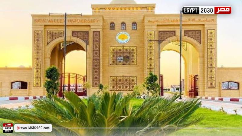 جامعة الوادي الجديد
