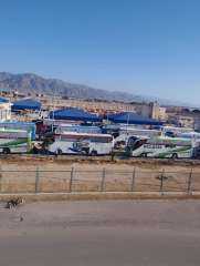 انتهاء تفويج الحج البري من ميناء نويبع بإجمالي 7701 حاج و180 باص