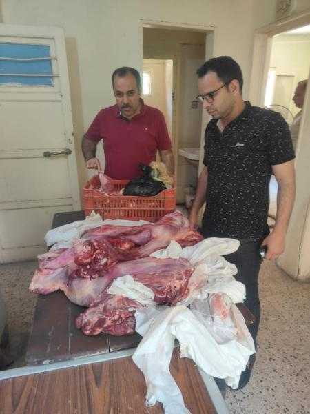 محافظ أسيوط: ضبط لحوم غير صالحة للاستهلاك وتحرير 118 محضرًا خلال حملات تموينية موسعة بالمراكز والأحياء