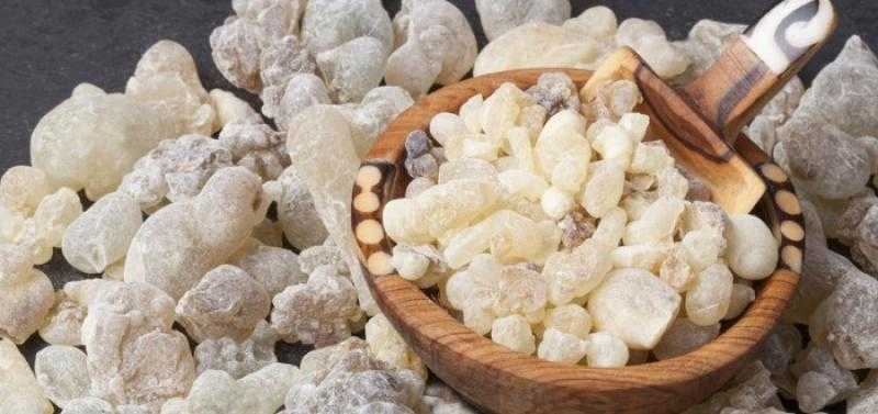 لن تصدق فوائد لبان الدكر في علاج هذا المرض