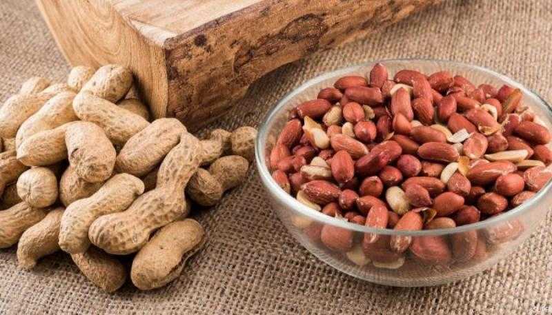 يدعم وظائف الدماغ ويقلل الكوليسترول الضار..لن تصدق فوائد تناول الفول السوداني