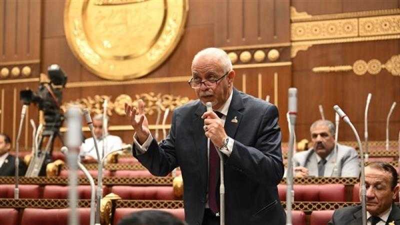 عضو بالشيوخ يطالب بحملات تفتيش مفاجئة وتشديد الرقابة لضبط الأسواق ومواجهة الغش التجاري