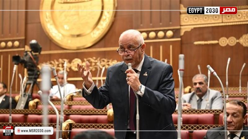 النائب المهندس حازم الجندي عضو مجلس الشيوخ