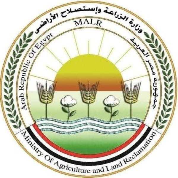 الزراعة ترفع درجة الاستعداد القصوى بجميع المجازر الحكومية لفحص الأضاحي قبل أعمال الذبيح