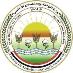 الزراعة ترفع درجة الاستعداد القصوى بجميع المجازر الحكومية لفحص الأضاحي قبل أعمال الذبيح