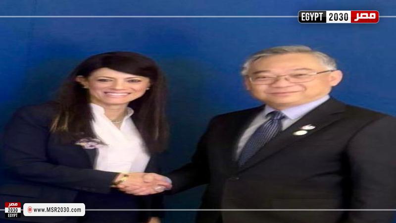 وزيرة التخطيط والتعاون الدولي