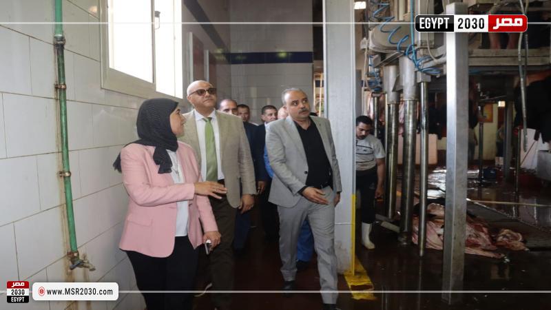 محافظ القليوبية