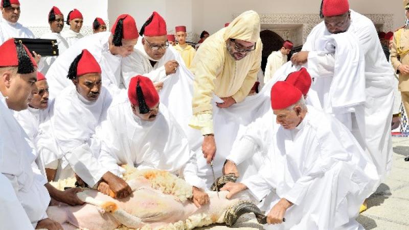 الاضحية في المغرب