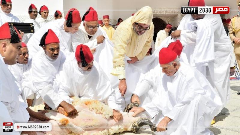 الاضحية في المغرب