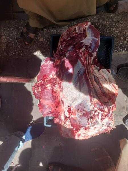 محافظ أسيوط يعلن ضبط لحوم مذبوحة خارج المجازر الحكومية وتحرير 317 محضرًا تموينيًا في حملات مكثفة بالمراكز