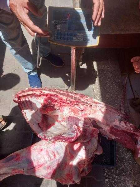 محافظ أسيوط: ضبط لحوم غير صالحة وتحرير 480 مخالفة تموينية